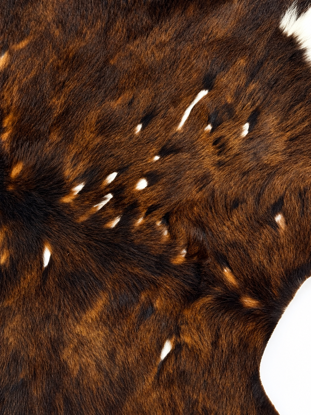 Brindle Hide Rug