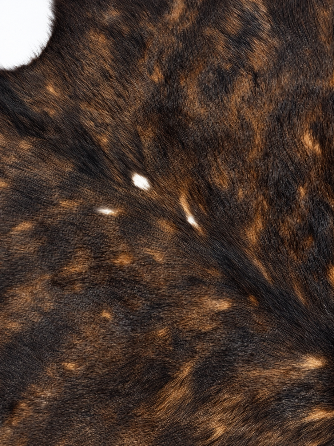 Brindle Hide Rug